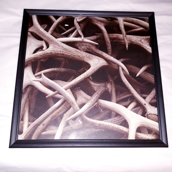 Antlers Wall Art/Decor - Picture 2 of 2